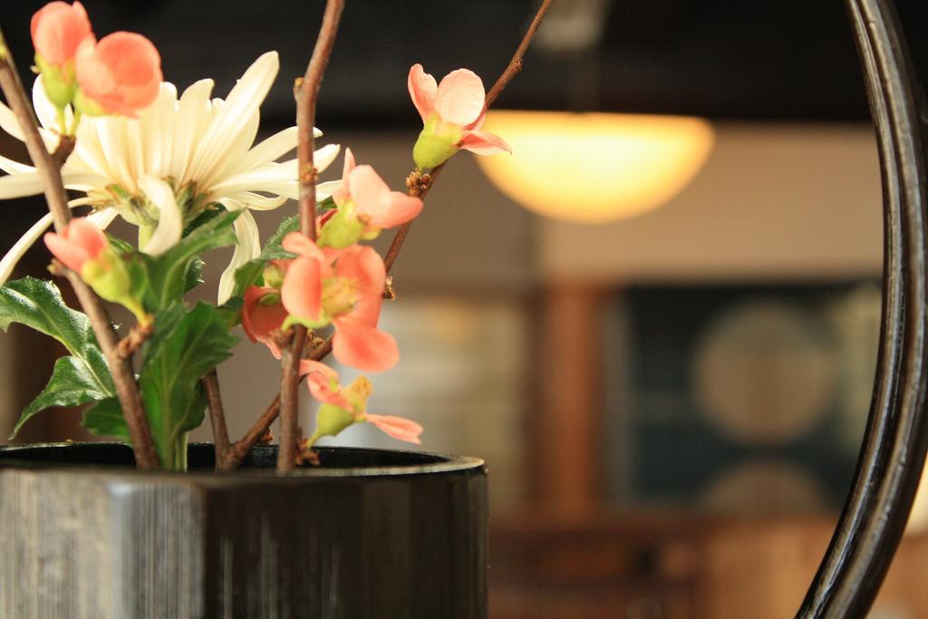 Yamadaya Ryokan Hitachiota Екстериор снимка